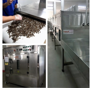 Microwave meat drying machine - Industrial Drying Machine